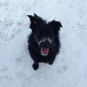 Meet your Posher, Dolores